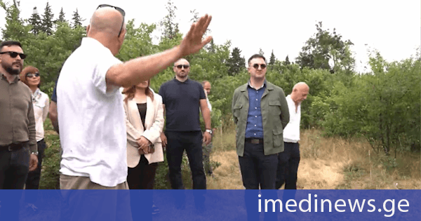 გარემოს დაცვისა და სოფლის მეურნეობის მინისტრმა „ურბანული ტყის“ პროექტის სამუშაოები ადგილზე დაათვალიერა - „ქართუს“ მიერ დაფინანსებული პროექტი დასრულების ეტაპზეა
