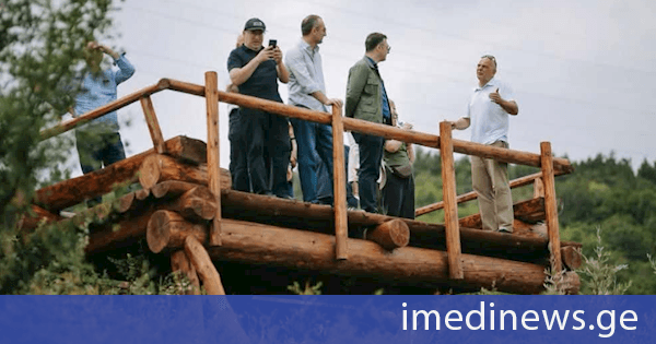 დავით სონღულაშვილმა „თბილისის ურბანული ტყის“ პროექტის ფარგლებში განხორციელებული სამუშაოები დაათვალიერა