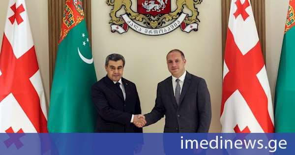 გივი მიქანაძემ თურქმენეთის განათლების მინისტრს უმასპინძლა