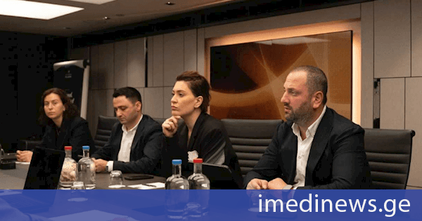 თამარ იოსელიანი: ანაკლიის პორტის ეფექტიანი განვითარება სწორად დაგეგმილ გენგეგმაზეა დამოკიდებული, რომელიც მისი სრული პოტენციალის ათვისებას განსაზღვრავს