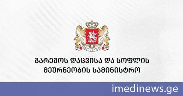 დღეიდან გარემოს დაცვისა და სოფლის მეურნეობის სამინისტროს სისტემაში ახალი უწყება „გასტრონომიის ეროვნული სააგენტო“ შეიქმნა