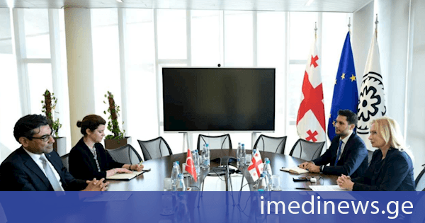 ნათია თურნავა თურქეთის რესპუბლიკის ელჩს საქართველოში მუსტაფა თურქერ არის შეხვდა