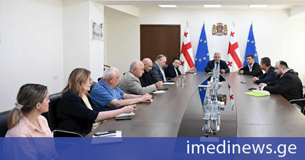 მიხეილ სარჯველაძე პროფესიული საგანმანათლებლო დაწესებულების „მედსქილის“ ხელმძღვანელებს შეხვდა