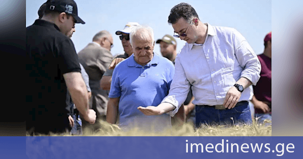 დავით სონღულაშვილი შირაქის ველზე ხორბლის მოსავლის აღების პროცესს გაეცნო