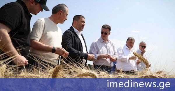 შალვა პაპუაშვილი, პარლამენტის წევრებთან ერთად, კახეთში „ალოობა 2026“-ს დაესწრო