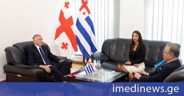 ზურაბ პატარაძე საქართველოში იაპონიის საგანგებო და სრულუფლებიან ელჩს იშიძუკა ჰიდეკის შეხვდა