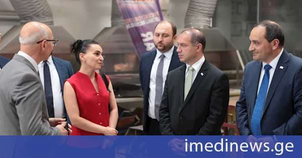 გივი მიქანაძე ანკარაში ჯეზერის მწვანე ტექნოლოგიების პროფესიულ-ტექნიკური ანატოლიური ლიცეუმის საქმიანობას გაეცნო