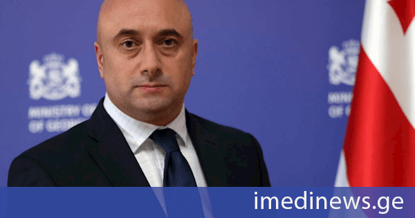 საქართველოს კულტურის მინისტრის მოვალეობას მიხეილ კიკნაძე შეასრულებს