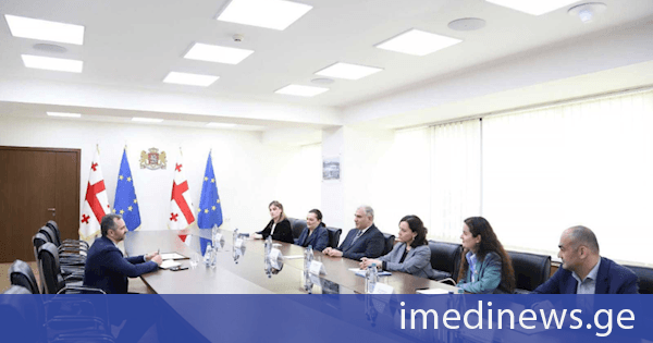 მიხეილ სარჯველაძე სილვიუ დომენტეს შეხვდა, რომელიც საქართველოში ჯანმრთელობის მსოფლიო ორგანიზაციის წარმომადგენლობის ხელმღვანელის პოზიციაზე თავის მისიას ასრულებს