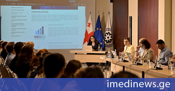 საქართველოს ეროვნულმა ბანკმა ახალი ანალიტიკური პლატფორმის ინტერაქტიული ინსტრუმენტები წარადგინა