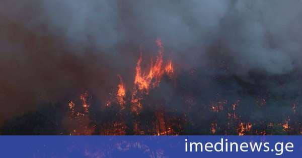 საბერძნეთში, ესპანეთსა და საფრანგეთში ტყის ხანძრებთან ბრძოლა გრძელდება