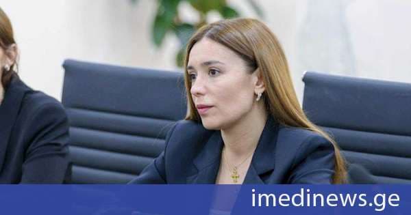 ნინო თანდილაშვილი: სახელმწიფომ ყველაფერი გააკეთა, რათა შოვის ტრაგედიასთან დაკავშირებულ თითოეულ შეკითხვას ამომწურავი პასუხი გასცემოდა