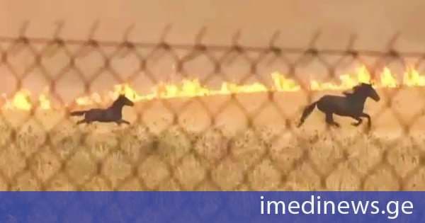 საბერძნეთში ტყის ხანძართან ბრძოლა გრძელდება