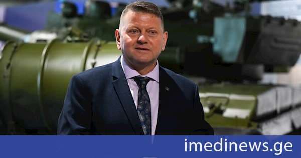 დიდ ბრიტანეთში უკრაინის ელჩი: ნატო ბრძოლის ველზე რუსეთს ათწლეულით ჩამორჩება