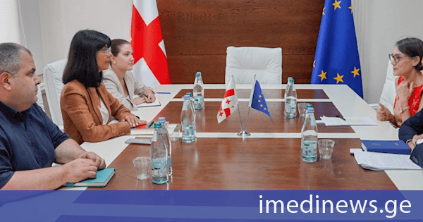 თეა ახვლედიანმა საქართველოში ევროკავშირის სადამკვირვებლო მისიის (EUMM) ხელმძღვანელთან, პატრიცია ბუგანისთან სამუშაო შეხვედრა გამართა
