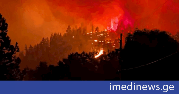 იტალიასა და კანადაში ტყის ხანძრებს ებრძვიან