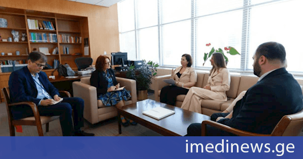 საქართველოს იუსტიციის მინისტრის მოადგილე ეკონომიკურ და სოციალურ საკითხთა დეპარტამენტის პოლიტიკის კოორდინაციის საკითხებში გაეროს გენერალური მდივნის თანაშემწეს შეხვდა