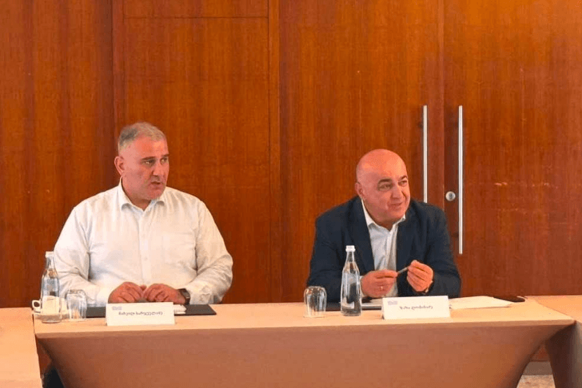 ჯანმრთელობის დაცვისა და სოციალურ საკითხთა კომიტეტმა ბორჯომში სამუშაო შეხვედრა გამართა