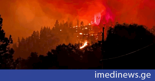 კანადაში ტყის ხანძრებს მსხვერპლი მოჰყვა
