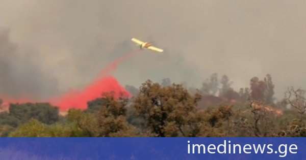 ესპანეთში ხანძარმა დაახლოებით, 35 000 ჰექტარის ფართობის ტყე გაანადგურა - სინოპტიკოსები ქარის გაძლიერებას პროგნოზირებენ და აცხადებენ, რომ ეს ცეცხლის ლოკალიზებას კიდევ უფრო გაართულებს