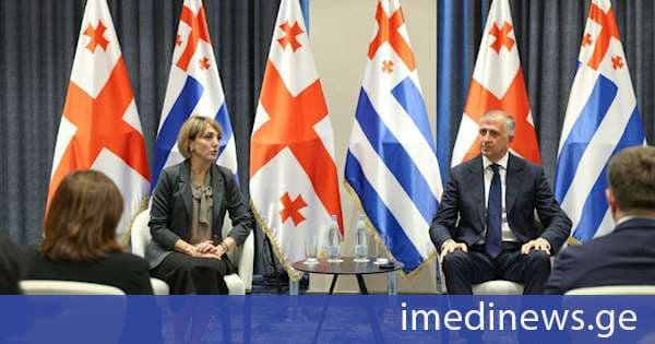 ზურაბ პატარაძე აჭარის რეგიონის სამედიცინო სფეროს წარმომადგენლებს შეხვდა