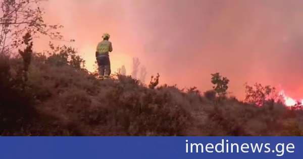 ესპანეთში, ლას-პენიას-დე-რიგლოსის პროვინციაში ცეცხლი 16 000 ჰექტარ ფართობზე გავრცელდა, ინგლისში კი ხანძრის შედეგად 20-მდე საცხოვრებელი სახლი დაიწვა