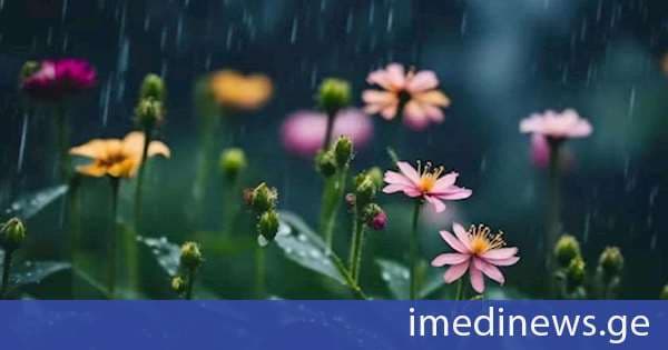სინოპტიკოსების პროგნოზით, უახლოეს დღეებში საქართველოს მასშტაბით არამდგრადი ამინდია მოსალოდნელი, როგორც დასავლეთ, ისე აღმოსავლეთ საქართველოში პერიოდულად იწვიმებს