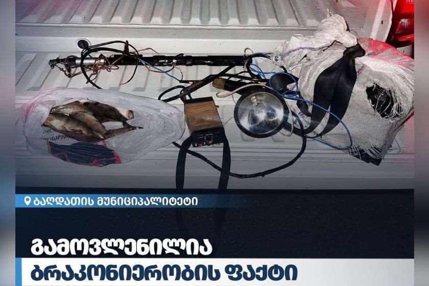გარემოსდაცვითი ზედამხედველობის დეპარტამენტმა იმერეთში ბრაკონიერობის ფაქტი გამოავლინა