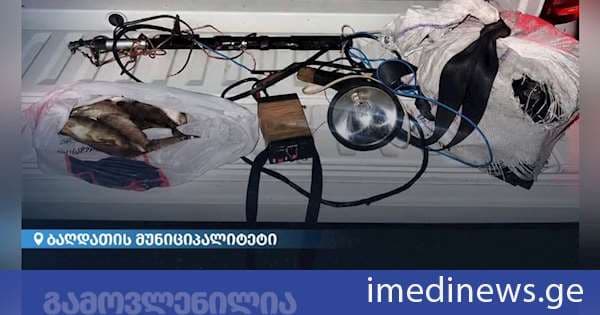 გარემოსდაცვითი ზედამხედველობის დეპარტამენტმა იმერეთში ბრაკონიერობის ფაქტი გამოავლინა