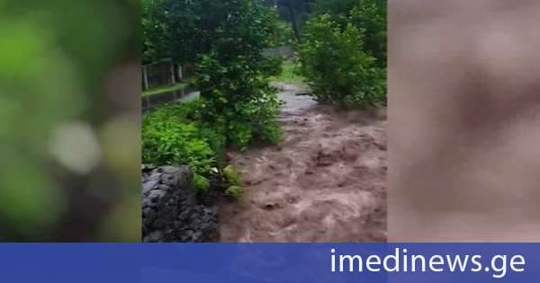 ოზურგეთის მუნიციპალიტეტში მოსულმა უხვმა ნალექმა მდინარეების ადიდება გამოიწვია - ძლიერმა ქარმა ელექტროენერგიის გადამცემი ხაზები დააზიანა