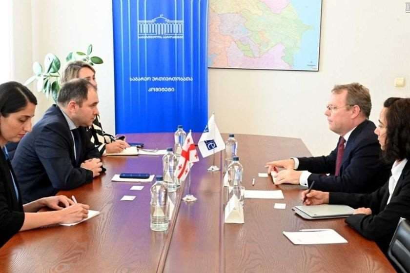 ნიკოლოზ სამხარაძე ეროვნულ უმცირესობათა საკითხებში ეუთოს უმაღლეს კომისარს შეხვდა
