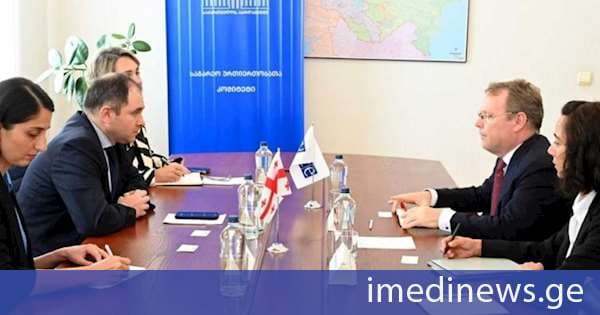ნიკოლოზ სამხარაძე ეროვნულ უმცირესობათა საკითხებში ეუთო-ს უმაღლეს კომისარს შეხვდა