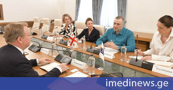 რატი იონათამიშვილი ეროვნულ უმცირესობათა საკითხებში ეუთო-ს უმაღლეს კომისარს შეხვდა