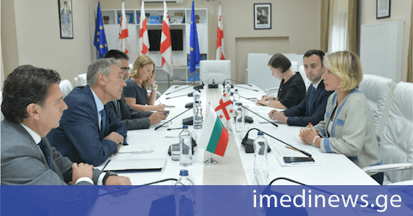 ნინო წილოსანი და ლევან მახაშვილი ბულგარეთის საგარეო საქმეთა სამინისტროს დელეგაციას შეხვდნენ