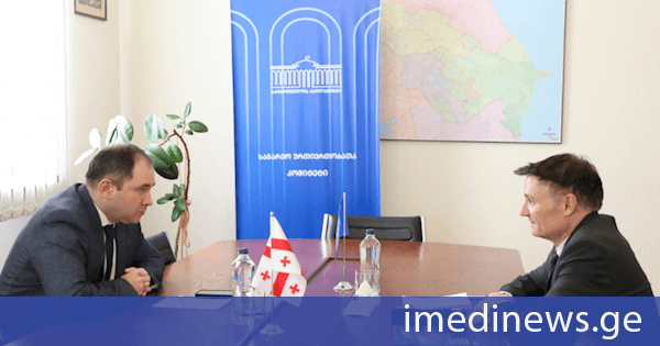 ნიკოლოზ სამხარაძე გაეროს მუდმივ კოორდინატორს საქართველოში, დიდიე ტღებიუკს შეხვდა