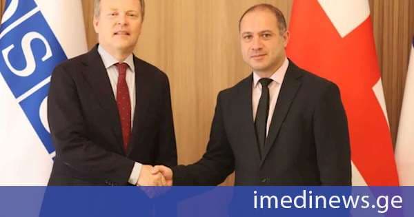 გივი მიქანაძე ეროვნულ უმცირესობათა საკითხებში ეუთოს უმაღლეს კომისარს შეხვდა