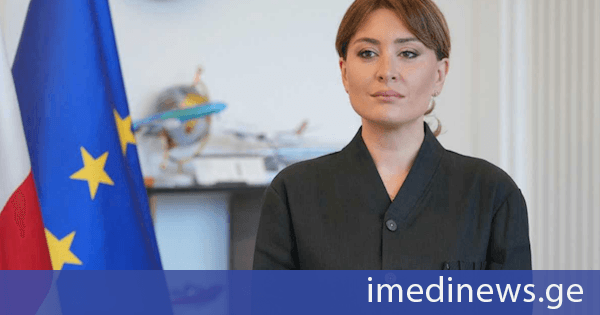 თამარ იოსელიანი: მცირე ავიაციის განვითარება ჩვენი ქვეყნისთვის ძალიან მნიშვნელოვანია, შესაბამისად საქართველოს მთავრობა ამ მიმართულებით მნიშვნელოვან ნაბიჯებს დგამს
