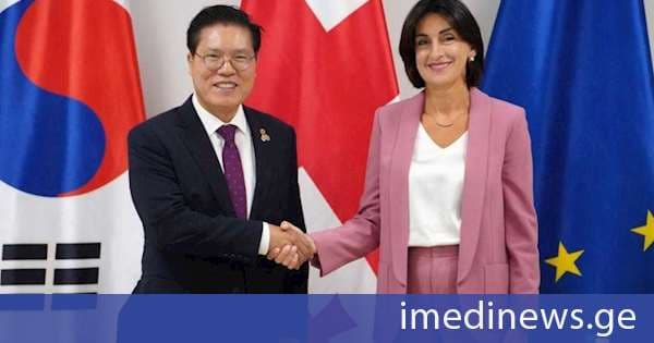 მაკა ბოჭორიშვილი კორეის რესპუბლიკის ეროვნული ასამბლეის საგარეო ურთიერთობათა კომიტეტის თავმჯდომარეს შეხვდა