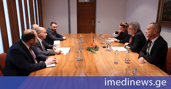 გივი მიქანაძე ხორვატიის მეცნიერების, განათლებისა და ახალგაზრდობის მინისტრს შეხვდა