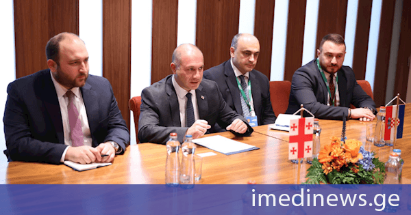 გივი მიქანაძემ სლოვაკეთის, უკრაინის, თურქეთის, ხორვატიისა და ყირგიზეთის განათლების მინისტრებთან ორმხრივი შეხვედრები გამართა