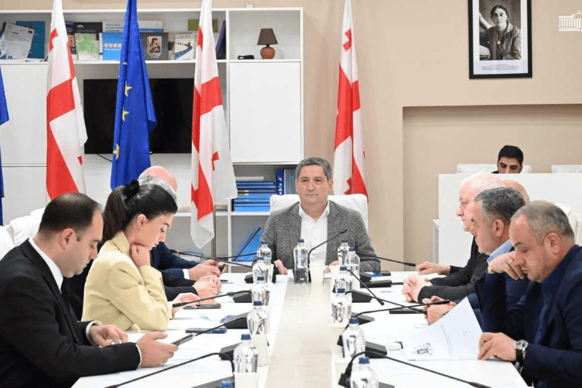 სოფლის მეურნეობის კომიტეტმა საქართველოს 2026 წლის სახელმწიფო ბიუჯეტის შესრულების 6 თვის ანგარიში მოისმინა