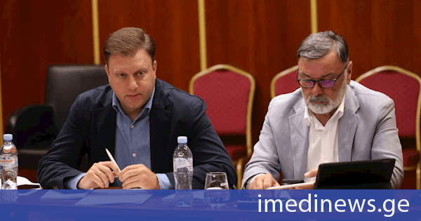 „ერთიანი ნეიტრალური საქართველო“ რეგიონებში წარმომადგენლობების დაფუძნების კამპანიას ასრულებს