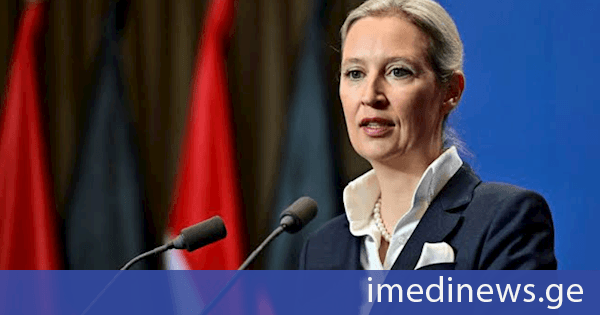 ალის ვაიდელი: ჩვენ შევაჩერებთ უკრაინის ფინანსურ დახმარებას და ომის ყოველგვარ მხარდაჭერას. უკრაინელები, განსაკუთრებით ახალგაზრდები, ვალდებულები არიან სამშობლოში დაბრუნდნენ