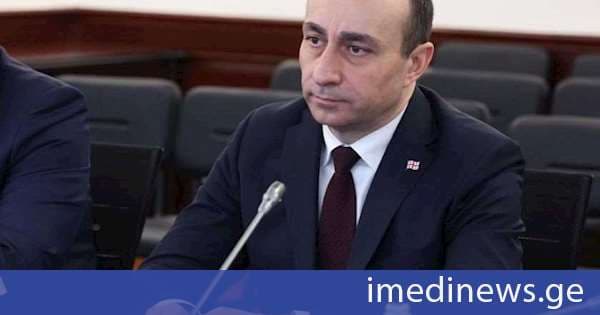 გეკა გელაძე შინაგან საქმეთა მინისტრის მოადგილის პოსტს დაიკავებს