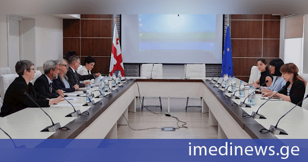 თეა ახვლედიანმა წითელი ჯვრის საერთაშორისო კომიტეტის (ICRC) ევროპისა და ცენტრალური აზიის ოპერაციების კოორდინატორ დენა ფიშერთან შეხვედრა გამართა