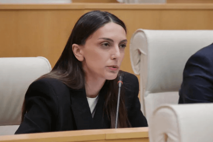 გახარიას პარტიის წარმომადგენელმა საზოგადოებას დანაშაულის გაყალბებული სტატისტიკა წარუდგინა - როგორია შსს-ს ოფიციალური მონაცემები