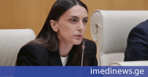 გახარიას პარტიის წარმომადგენელმა საზოგადოებას დანაშაულის გაყალბებული სტატისტიკა წარუდგინა - როგორია შსს-ს ოფიციალური მონაცემები