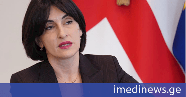 მაკა ბოჭორიშვილი: ევროკავშირი საქართველოსთვის მნიშვნელოვანი პარტნიორია და ასეთად დარჩება. ეს ჩვენთვის განსაკუთრებულად ემოციური საკითხია, ის დაკავშირებულია ჩვენს იდენტობასთან, ჩვენს ისტორიასთან, თუმცა, ამავდროულად, ჩვენი მომავალიცაა