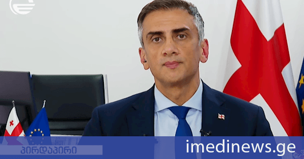 გიორგი კახიანი: კარგი იქნება, თუ კარგად გააცნობიერებს ევროკავშირი საქართველოს როლს „შუა დერეფნის“ რგოლში. საქართველოს ამ რგოლში ერთ-ერთი უმნიშვნელოვანესი ადგილი უჭირავს, თავისი თუნდაც გეოგრაფიული მდებარეობიდან გამომდინარე