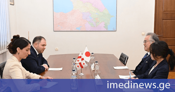 ნიკოლოზ სამხარაძე იაპონიის ელჩს შეხვდა